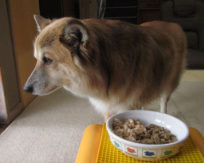 �����A��͕������Ă������A�H�~�Ȃ�