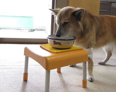 ���͈�l�ň��߂�炵��