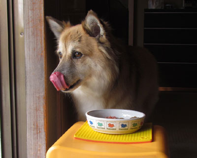 �ł��֔�Ȃ񂾂�