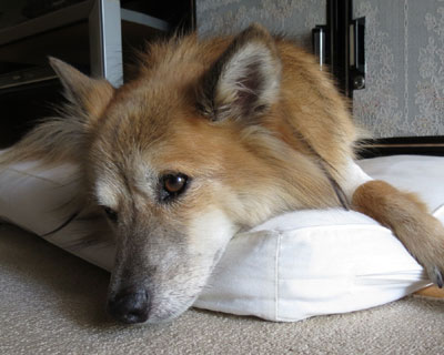 �ŋ߂₯�Ɏʐ^�B���Ă邯�ǁA�܂�����e�H