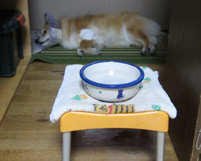 �Ȃ����䏊�̉��ŐQ��