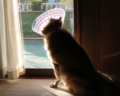 ����₯�ǂ��Ȃ����ȁH