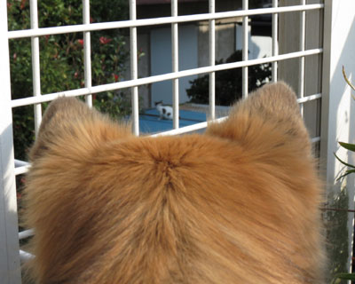 �˂�����񔭌�