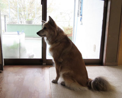 �U���҂��̂Ƃ���