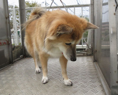 �U��������