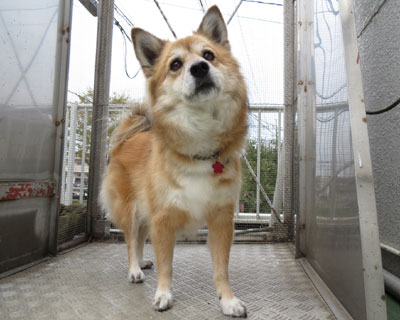 �܂��܂��Ⴂ��