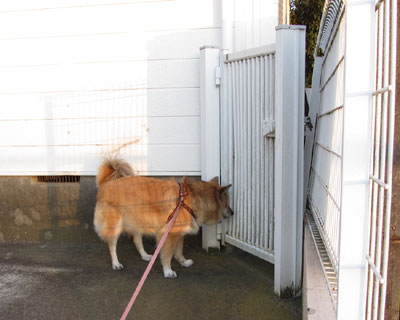 �O�����ɂ��F�B�������񂾂���