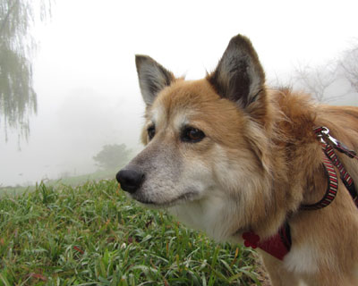 �����ۂ��Ă�����