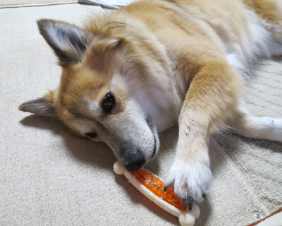 �������Ȃ��̂͗�������_������