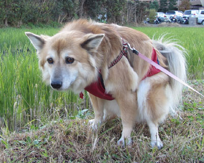 �K��������Ǝ��������