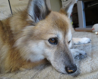 �@���G��Ă�Ƃ��낢�낭����