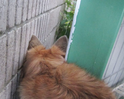 �������ƑO�ɂ˂����������Ԃ��`�F�b�N