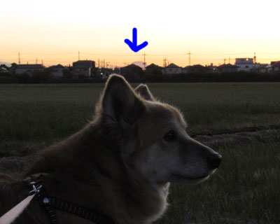 �x�m�R�Ǝ�