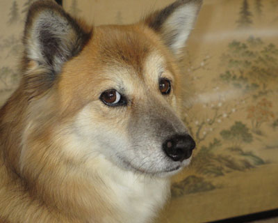 ���x�̂͏�������