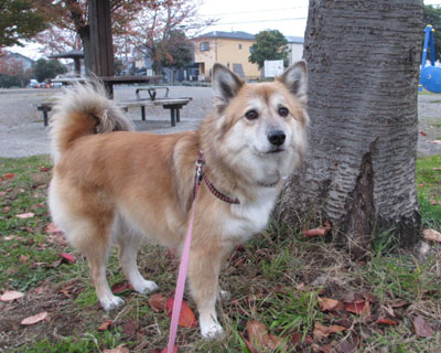 �����Ȃ��񂶂�Ȃ��H