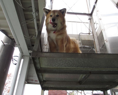 �U�����I���