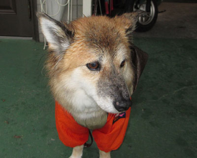 �y���~��Ŋ炪������