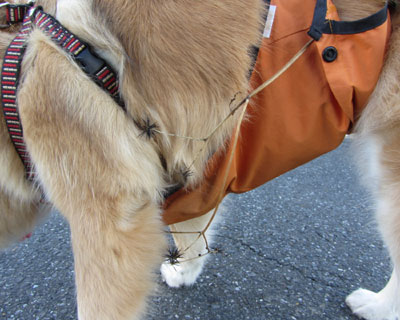 ���̎�͂悭�}���Ƃ�����