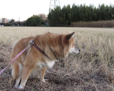 �c��ڂ��͂�ʂĂ�