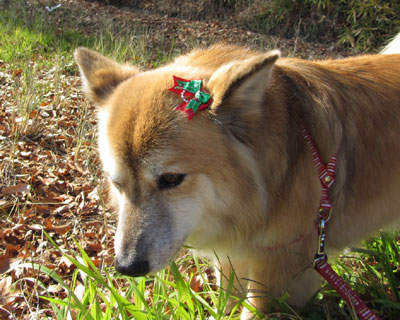 ����đ����₯�H��