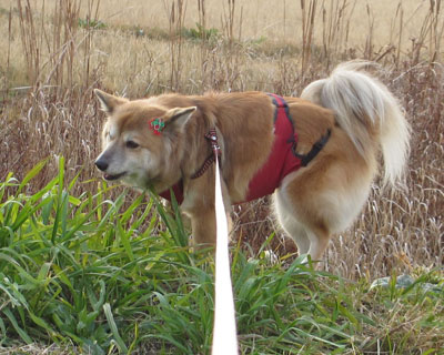 �������₯�H��