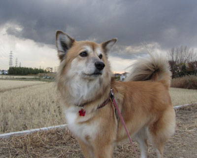 �܂��܂���