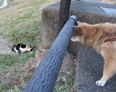 �˂�����E�E�E