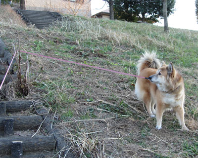 ���҂��ɂ��܂����I