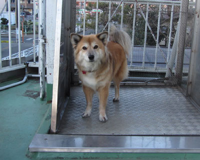 �������낹