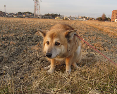 �����Ȃ����Ȃ��Ȃ�