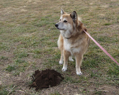 ���̏��R��������G��