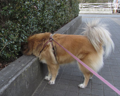 �����ɂ�����