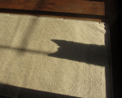 �J���Ăق����đ҂��Ă�e