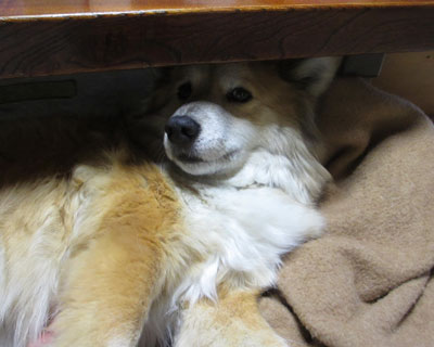 �ѕz������Ό������Ȃ�