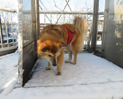 �����s����