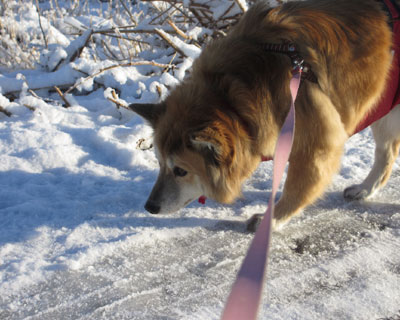 �Ȃ񂩕����ɂ�����