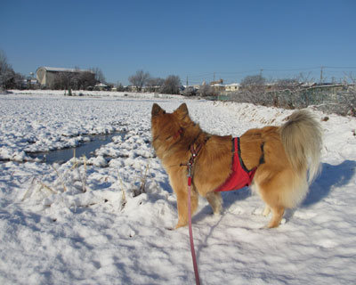 ���̂ւ�Ŋ��ق��Ă��