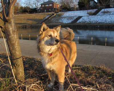 ���v���x���Ȃ��Ă�����