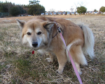 �������