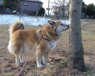 �P�{���j�I�C��k���̂Ŏ��Ԃ�������