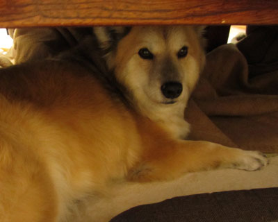 �n�k���񂪏o���炱���ɗ���Ƃ�����