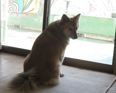 �J���Ȃ���