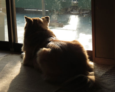 �O�ɏo����