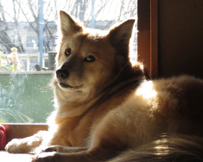 ���Ȃ��ɂ����