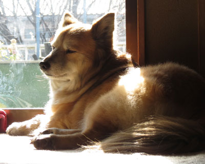 ���������