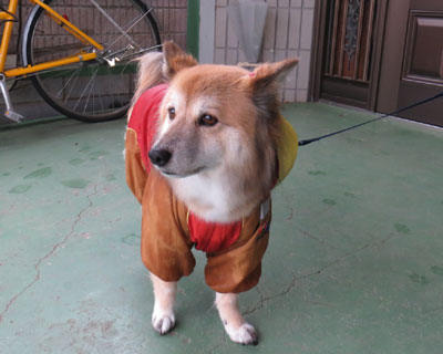 ��������΂��牘���