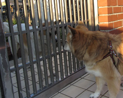 �F�B�Ɉ��A