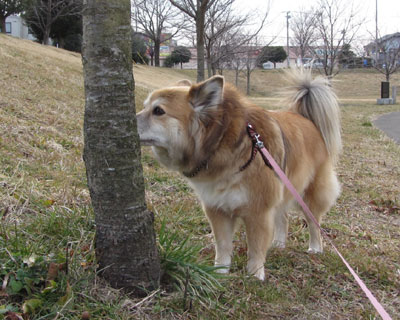 �j�I�C�`�F�b�N