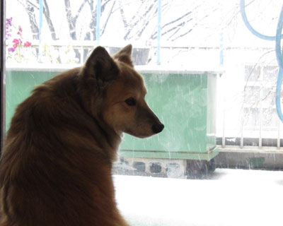 �O�ɏo����