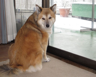 ���񂾂�ڂ��������Ȃ�